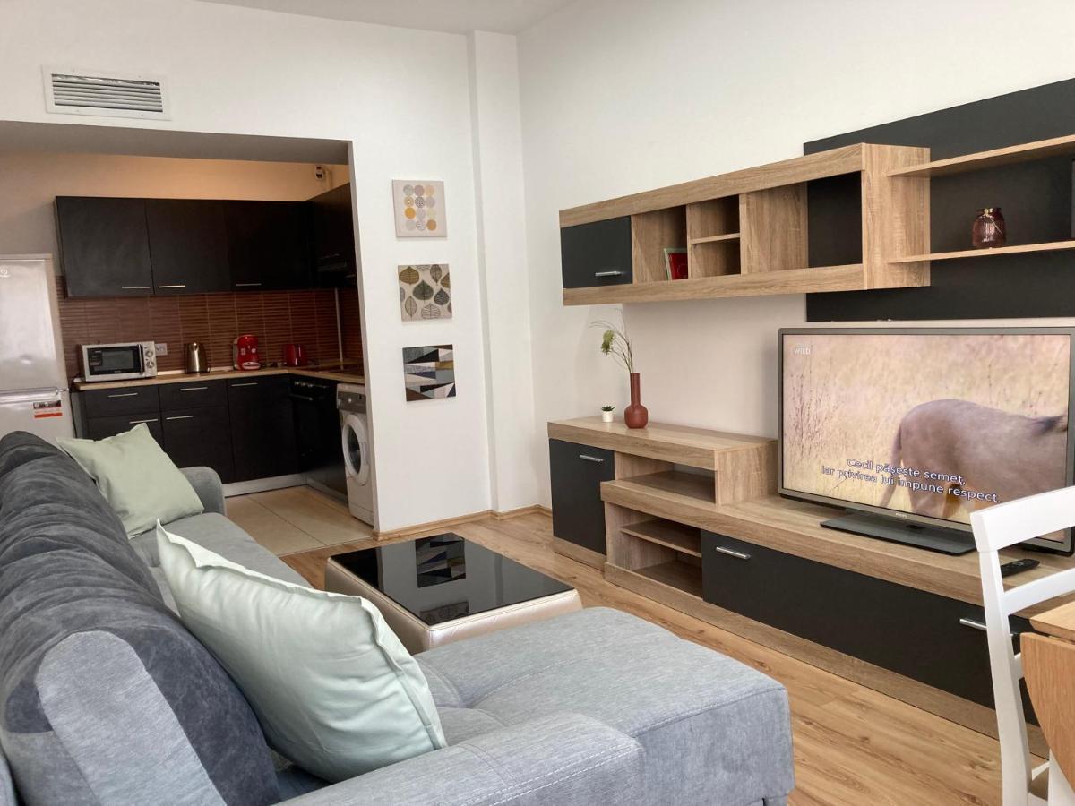 Laroka House Rin Grand Residence Modern Apartment ブカレスト エクステリア 写真